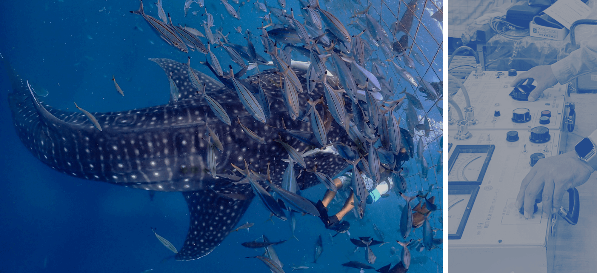 全力×誠実×電気 仕事にまじめ、人生に本気。だから、人生はもっと輝く